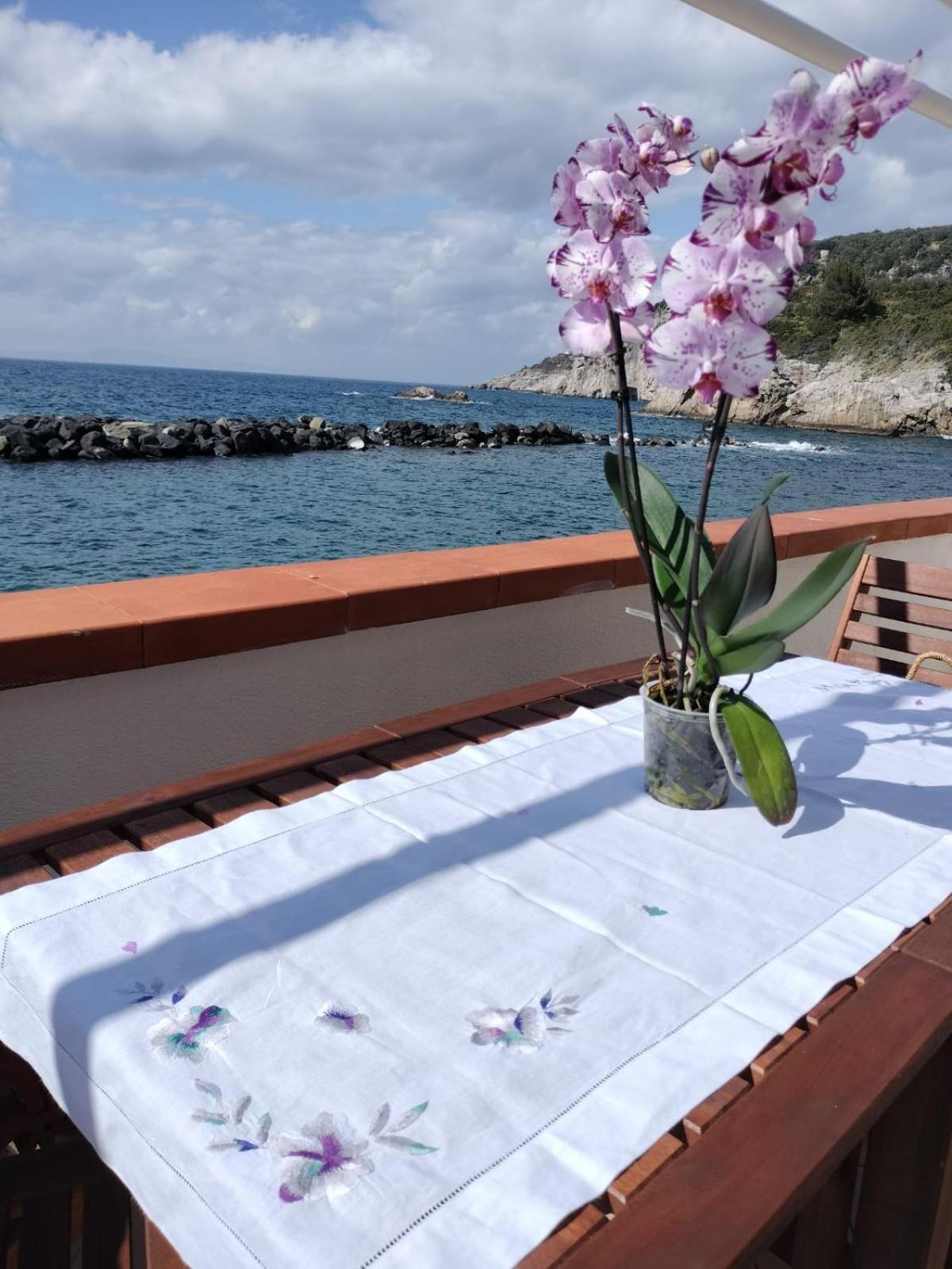 Casa Vacanza Verde Smeraldo- Massa Lubrense Εξωτερικό φωτογραφία
